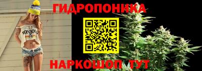 молекула духа Гудермес