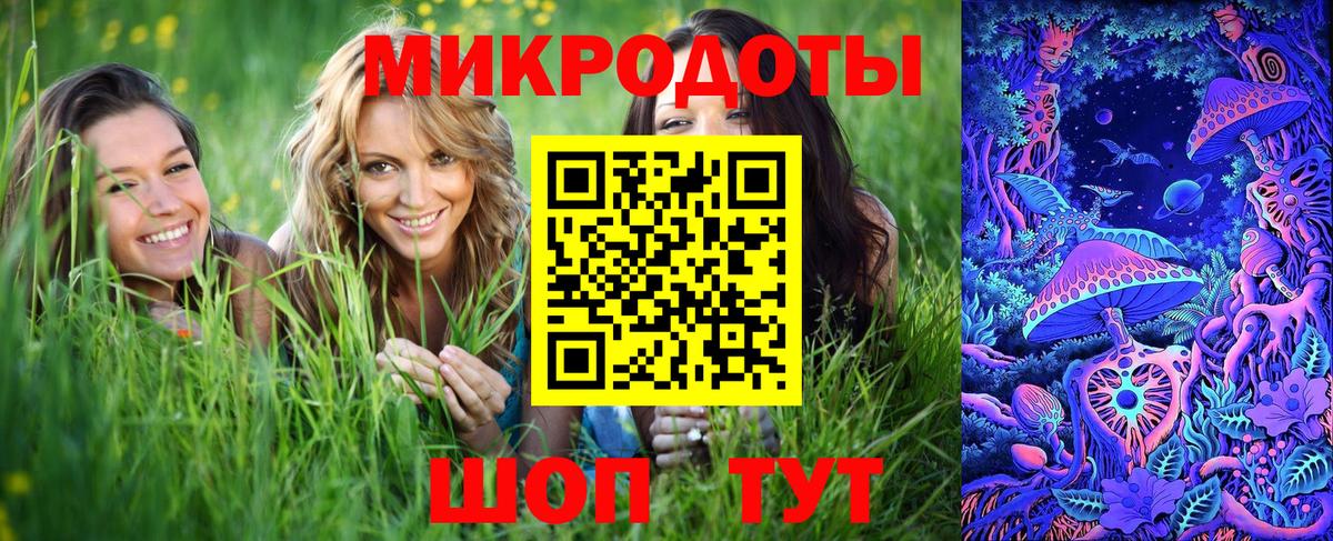 Галлюциногенные грибы ЛСД  купить наркотик  Галлюциногенные грибы мицелий  Братск  Вход с VPN 